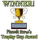 fool award